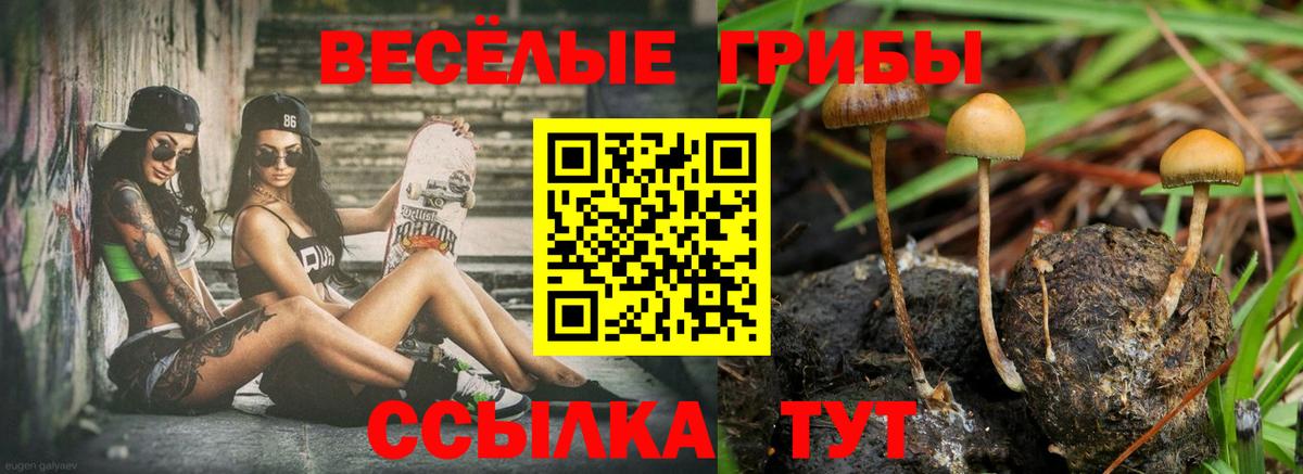 Псилоцибиновые грибы GOLDEN TEACHER  Вход с VPN  Качканар 